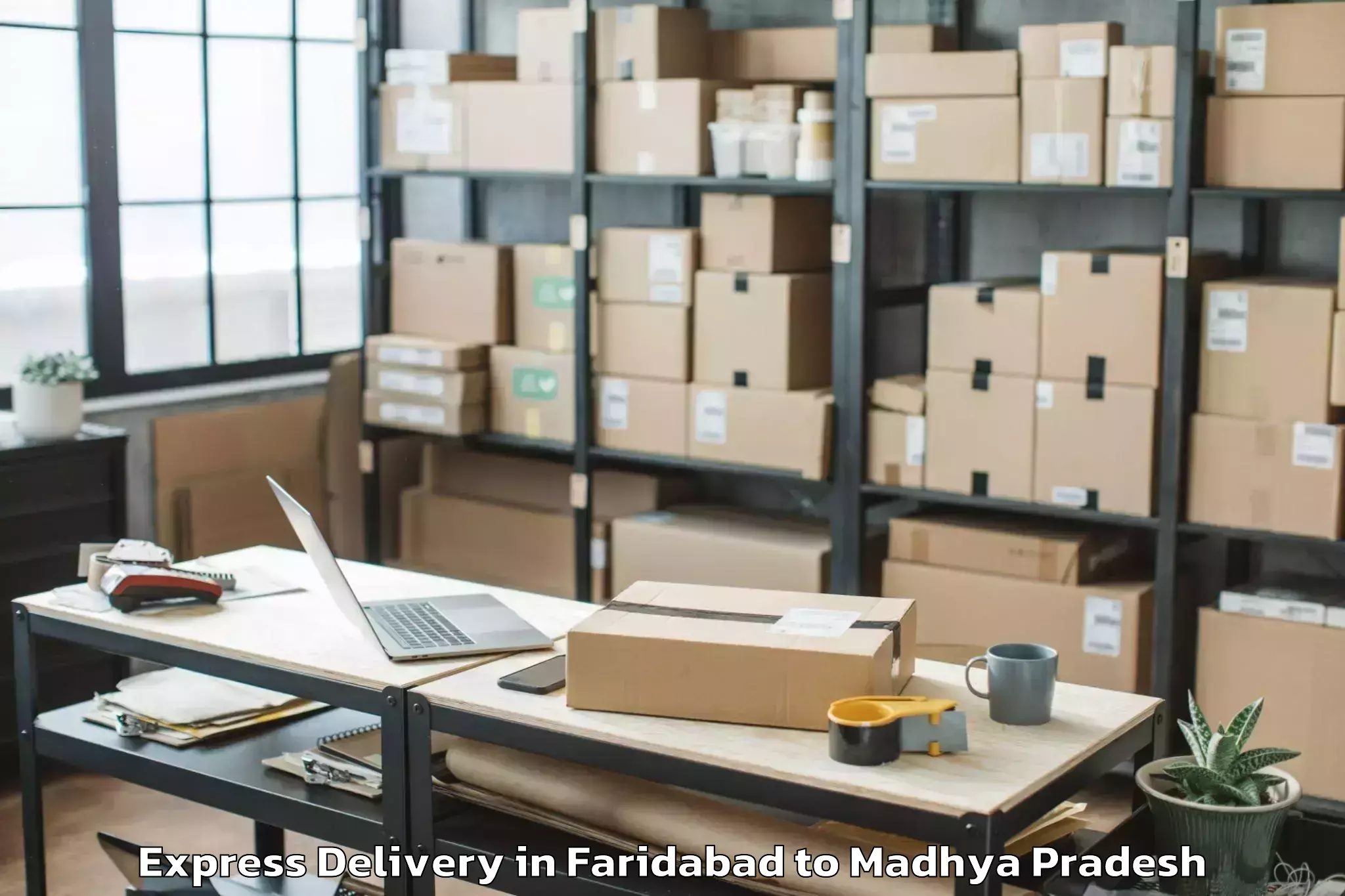 Book Faridabad to Sanwer Express Delivery